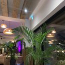 천지연로 이미지