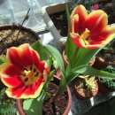 예원화원&예원 이미지