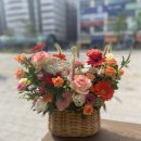 한나플라워 - 문경시 모전로 130 | 한나플라워