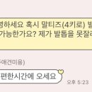 송송펫 이미지