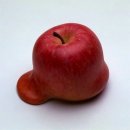 복순이네 이미지