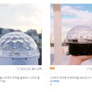 화이트리 민박 네이버블로그