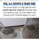 다대지구대 화장실 이미지