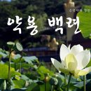 월내마을회관 이미지