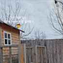 디로버스테이 이미지