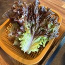 수육대가 | 사천읍 맛집 대가돼지국밥: 솥밥에 수육까지 나오는 갓성비 혼밥 후기