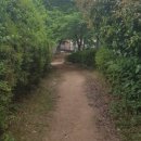 양지뜰어린이집 이미지