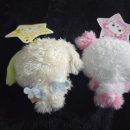 사랑스럽댕 이미지