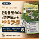 공공조형물(복사골공 | 만장굴 옆 김녕미로공원 아이랑 반나절 후기 (제주도민 요금·미로코인 총정리)내돈내산 · 협찬 없음