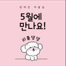 리틀댕댕 이미지