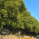 남은2리경로당 이미지