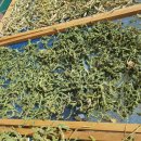 속리산 휴양센터 이미지