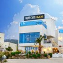 프린세스애견 이미지