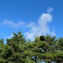 고창동호 뚱이네슈퍼 | 고창 동호해수욕장 국민여가캠핑장 방문 및 사이트 이용팁 | 1박 2일 미니카라반 캠핑후기