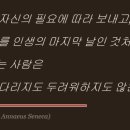 그린스토아 - 춘천시 중앙로 41-3 | [베스트 셀러 도서요약] 세네카의 인생 수업