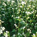 천서리공인중개사사무소 이미지