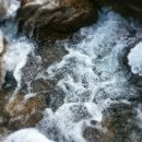 무주 해바라기 펜션 호스텔 이미지