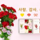 다이소서 이미지