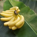 진도농장 이미지