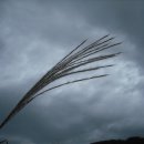 정수성농장 이미지