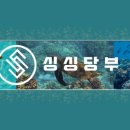 중도매인 7번 네이버블로그