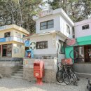 두 번째 벚꽃 이미지