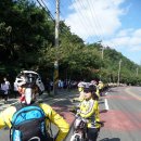 동구 구민화합축제 이미지