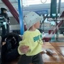 오촌농장 이미지