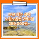 동양관광여행사 | 부산_제주도_2박3일 #관광패키지 #노팁노옵션 #석석 / 부산제주도패키지 여행사 / 김해공항