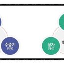 삼위빌 네이버블로그