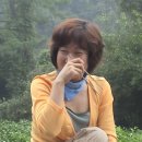 신영주 이미지
