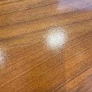 새연정형외과의원 이미지