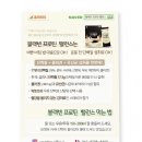콩두렁 | 당진 두렁콩 서리태의 고소함! '블랙빈 프로틴 밸런스' 물 vs 우유 비교 체험기(세은바이오)