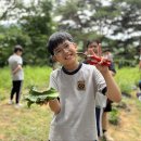 [초등] 산림치유 20240620 이미지