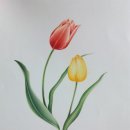 예쁜 꽃그리기(보테니컬아트) 이미지