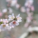 소초면 행정복지센터 이미지