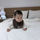 여수 리베라 풀빌라 리조트 | 여수 풀빌라 독채 시로리조트 &amp; 풀빌라 | 스파+수영장 있는 여수 풀빌라 리조트 후기