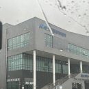 힐링 호캉스 맞춤형 남도여행플래너로 다녀온 2박 진도 여행 (+ 진도 쏠비치 할인 꿀팁)