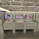 다우리몰