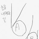 몽스키 이미지