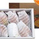 석희농장 이미지