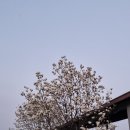 용소진료소 이미지