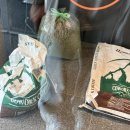 룩스토어 청라언덕점 | 대구 중구 청라언덕 카페 펜키 커피 진짜 맛있는 곳 인정 대구원두선물 대구커피선물 추천