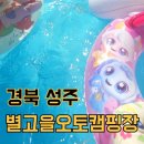 별고을 오토캠핑장 | 성주 별고을오토캠핑장