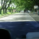 [필리핀엥겔레스]클락의 풍경 - 카멘빌의 도로 이미지