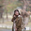 길벗3호 Daum카페