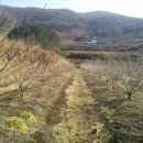 하동산초농장 이미지
