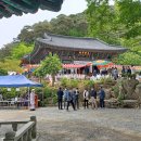 관음시장 이미지