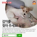 효신시장 이미지