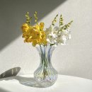 110-운정2-110 | 파주 힐스테이트 더운정 욕실 줄눈시공 리얼 후기 (곰팡이 걱정 끝)